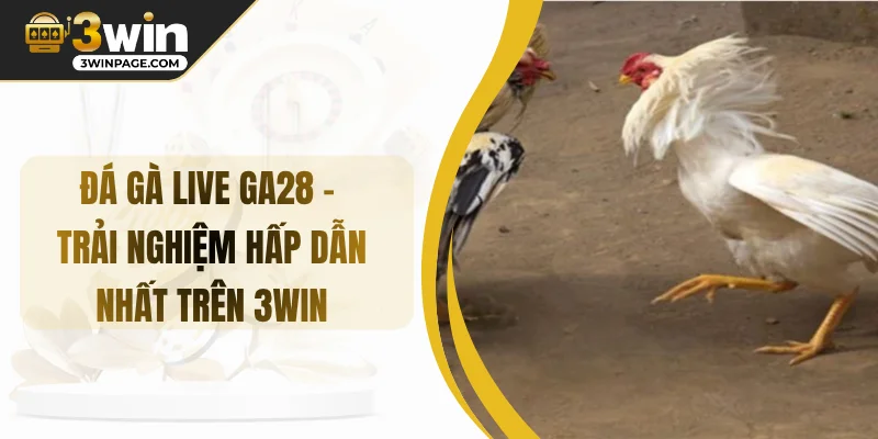 Đá gà live ga28